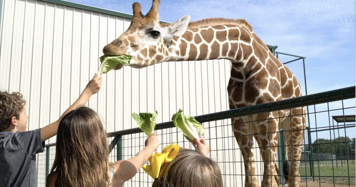 Things to Do in Bryan, TX With Kids