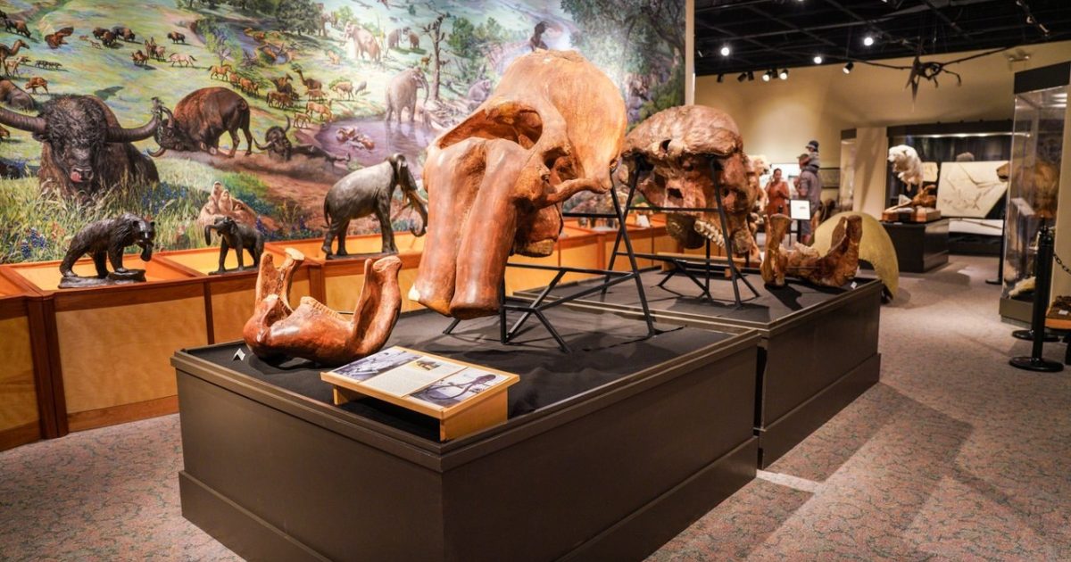 The Brazos: Legacy of a Mighty River Exhibit at The Brazos Valley ...
